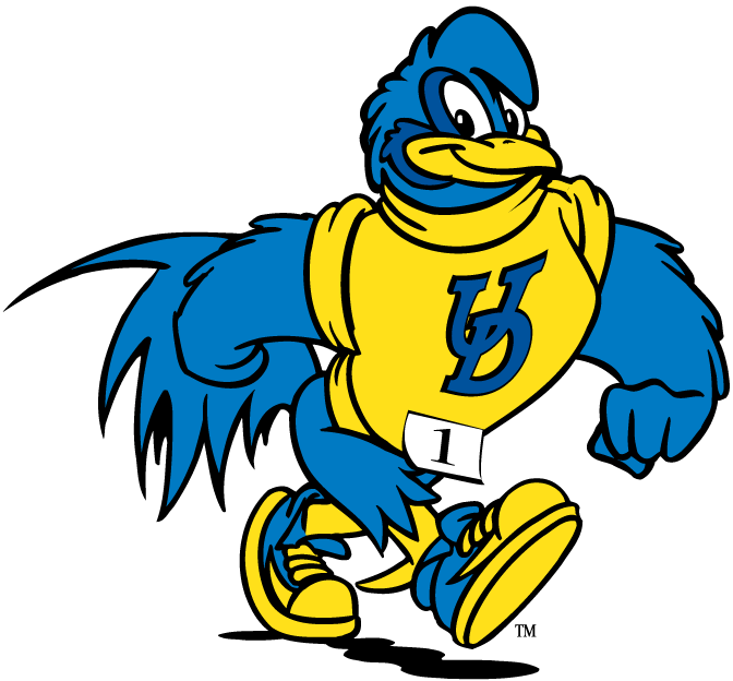 delaware blue hens 1993-pres mascot logo v3 diy iron on heat transfer